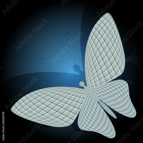 butterfly and its reflection