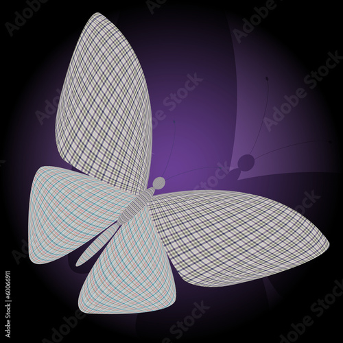 butterfly and its reflection