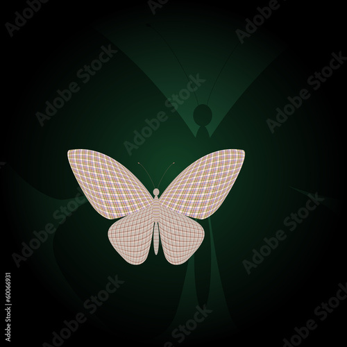 butterfly and its reflection