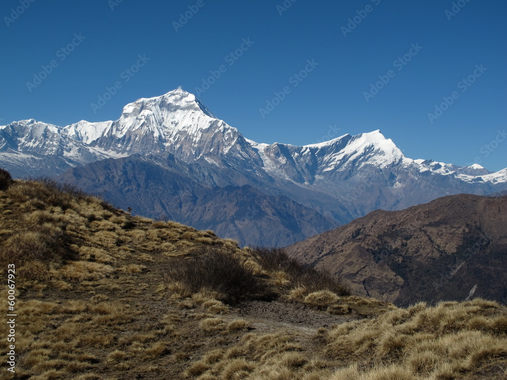 now capped peaks of Dhaulagiri and Tukuche Peak