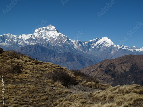 now capped peaks of Dhaulagiri and Tukuche Peak © u.perreten