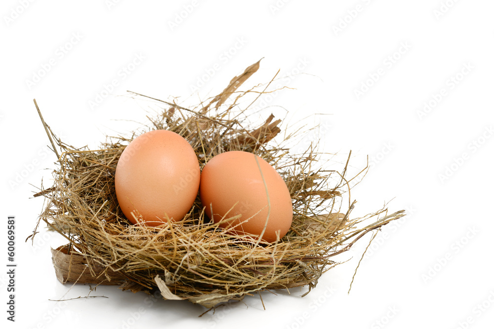Egg in a Nest Egg in a Nest