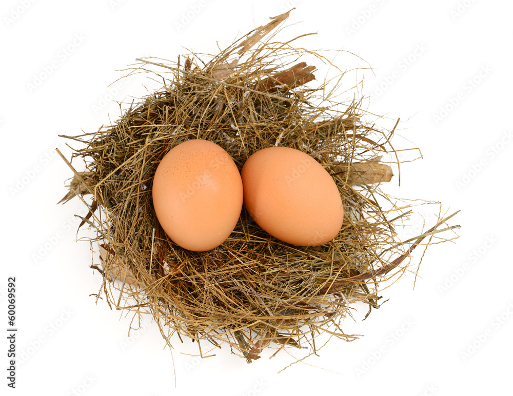 Egg in a Nest Egg in a Nest