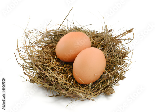 Egg in a Nest