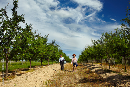 Farmers walking through orchard