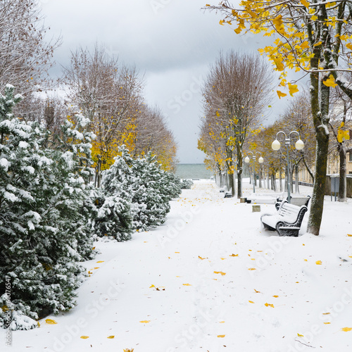 Alley in the Park. Snow storm