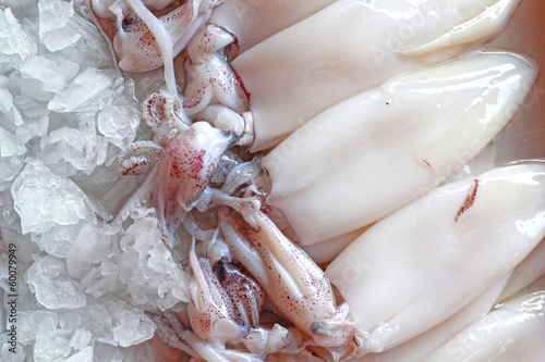 Fresh squid in the market