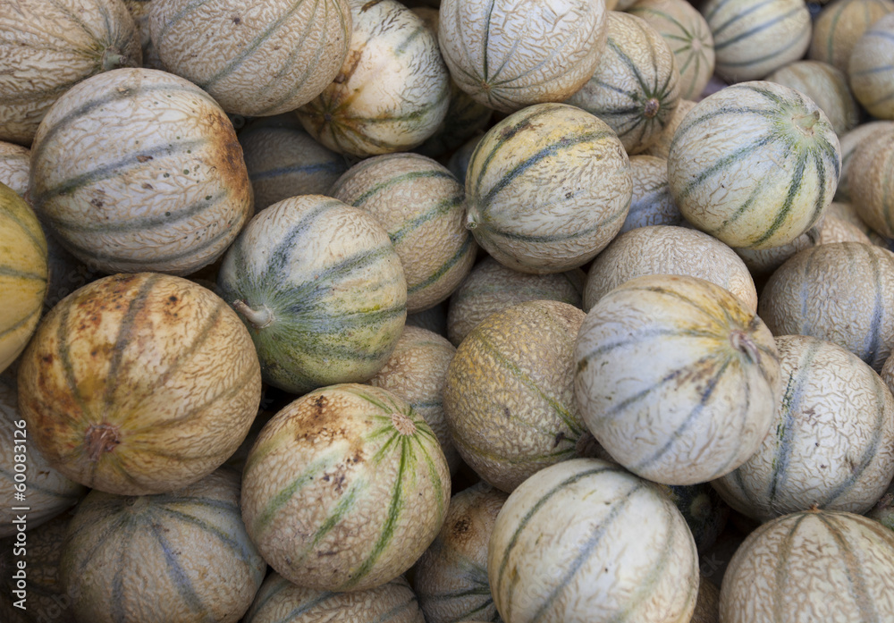 Close-up view of melons in market Close-up view of melons in market