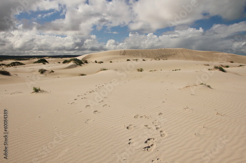 The Nullarbor coastal dune landscape