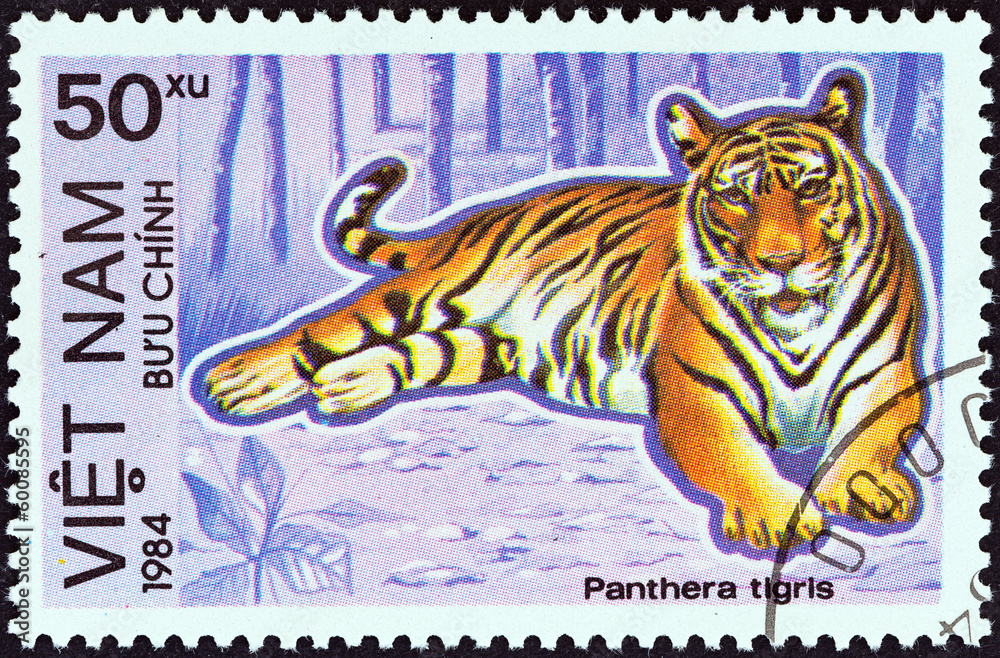 Naklejka premium Tiger (Vietnam 1984)