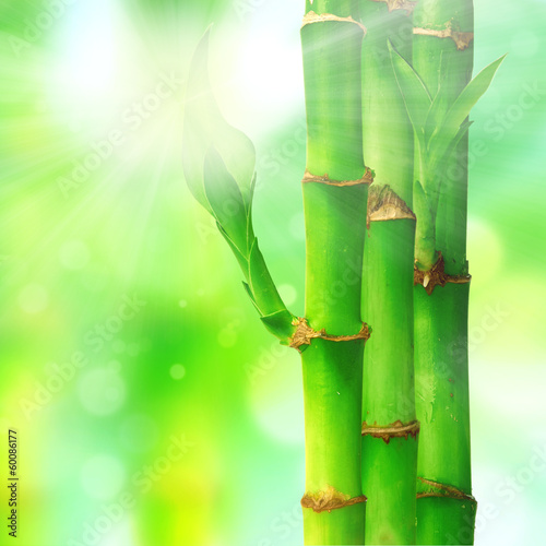 Fototapeta Naklejka Na Ścianę i Meble -  Natural zen backgrounds with bamboo leaves