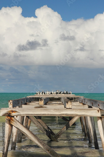 The jetty at Eucla telegraph station on the Nullarbor photo