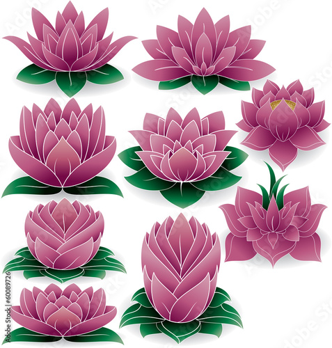 Fototapeta Naklejka Na Ścianę i Meble -  Lotus Set Colored 3