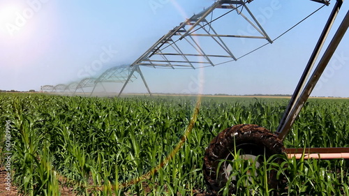 Automated irrigation system