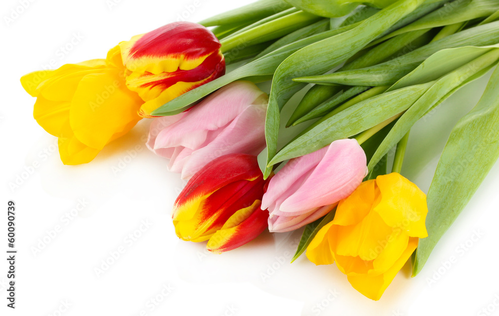 Beautiful tulips in bucket isolated on white Beautiful tulips in bucket isolated on white