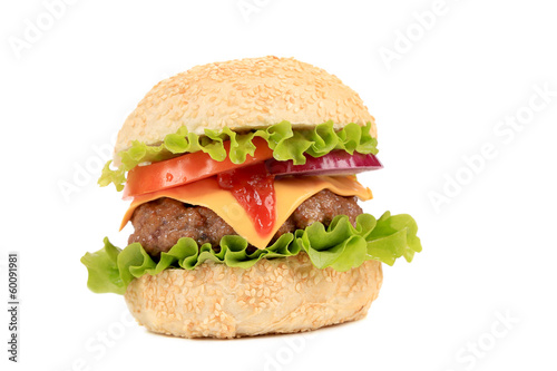 Hamburger with cheese and ketchup.
