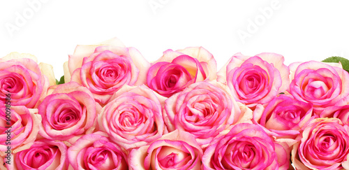 beautiful bouquet of pink roses isolated on white © Africa Studio