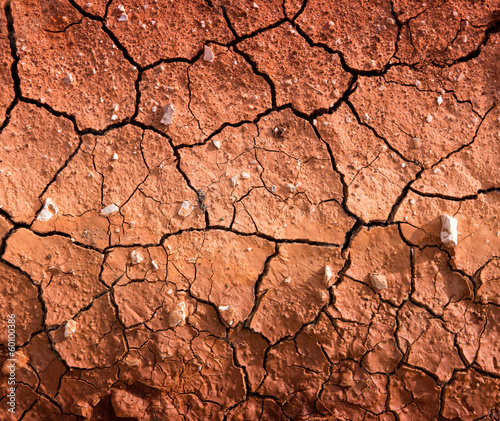 Cracked Earth texture