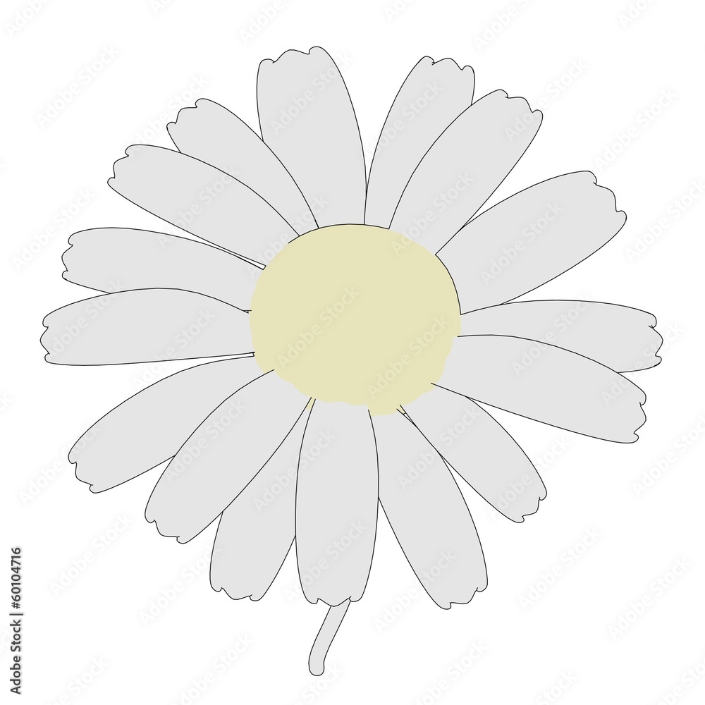 cartoon image of daisy flower cartoon image of daisy flower