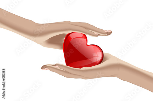 Heart in the human hands