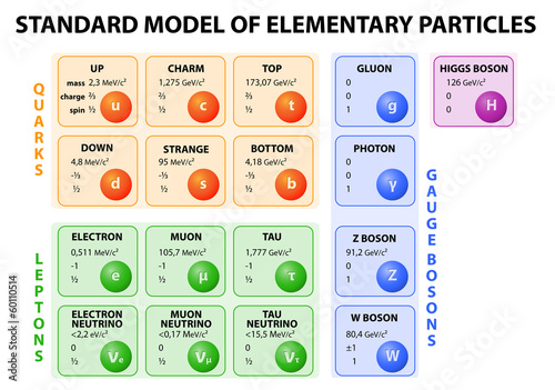 Standard model of elementary particles photo