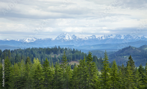 Mountains with snow and pines in Washington state