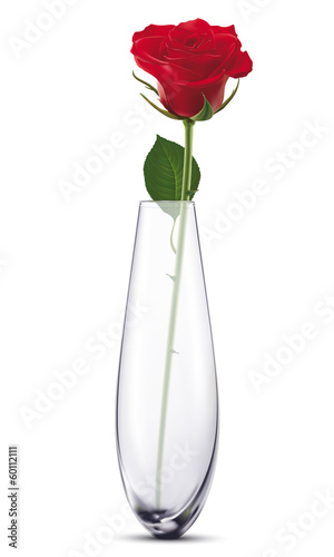 Rose in a white vase, isolated. Vector illustration