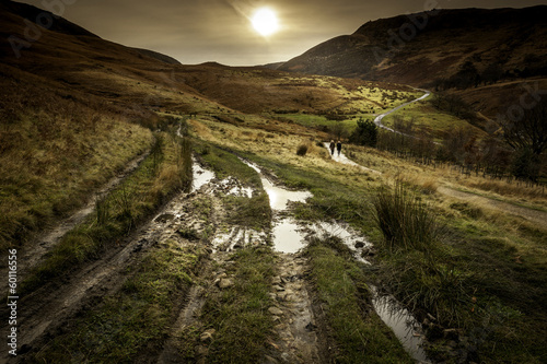 Walkers paradice photo