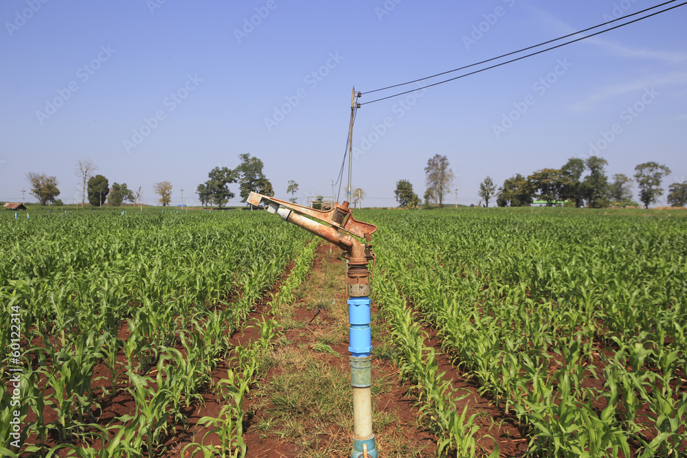 A large agriculture sprinkler wetting a newly planted corn field A large agriculture sprinkler wetting a newly planted corn field