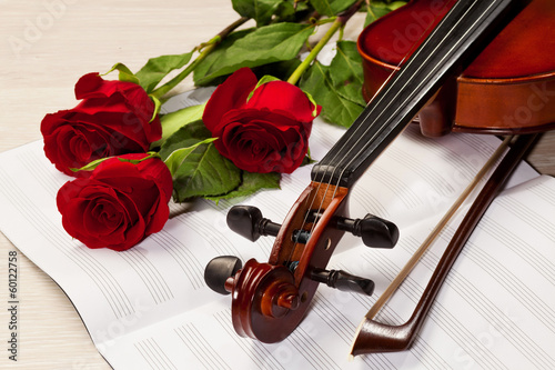 Red roses and a violin