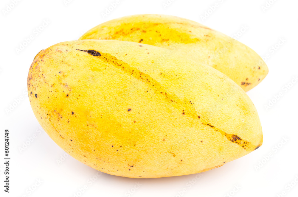 Yellow mango Yellow mango