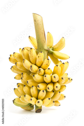 Banana bunch cluster © happystock