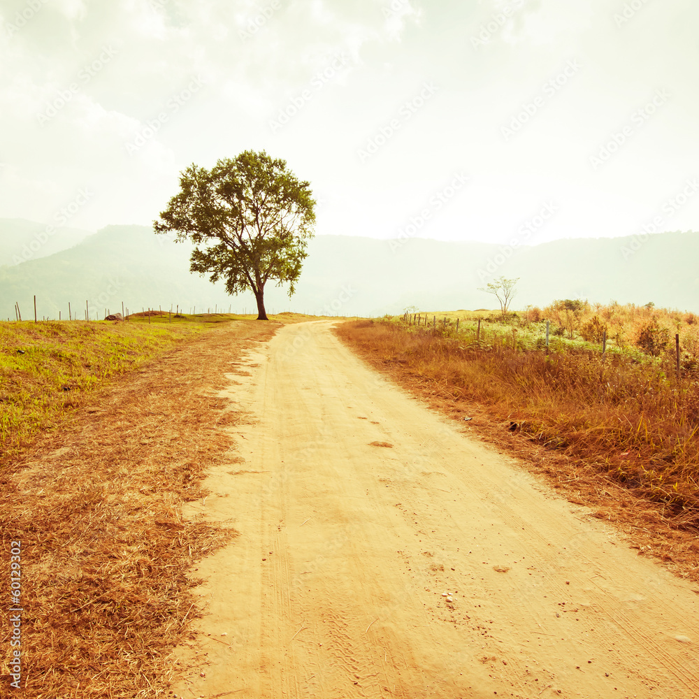 Rural road leading to the tree in vintage style