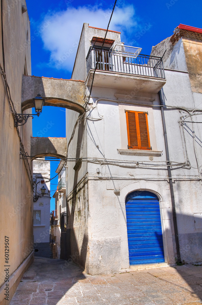 Fototapeta premium Alleyway. Ischitella. Puglia. Italy.