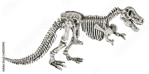 Fototapeta Naklejka Na Ścianę i Meble -  T.rex skeleton