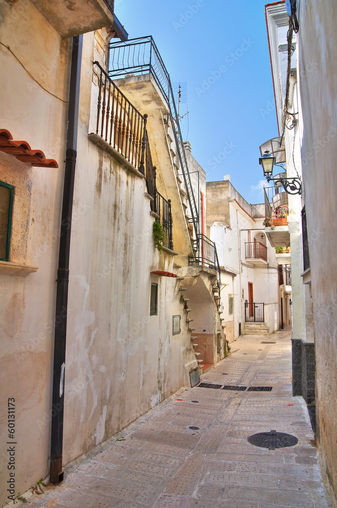 Fototapeta premium Alleyway. Ischitella. Puglia. Italy.