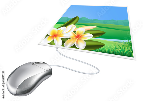 Mouse photo online internet...