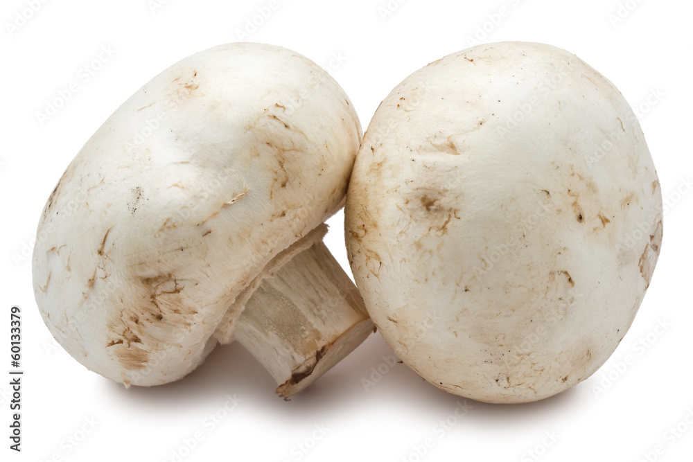 Champignon mushrooms Champignon mushrooms