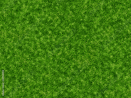 lush green grass texture. wallpapers pattern