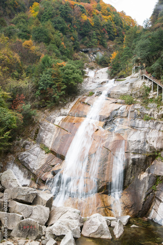 autumn,forest and stream