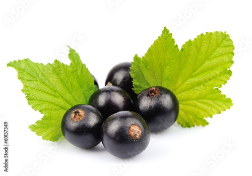 Sweet currants with leaves
