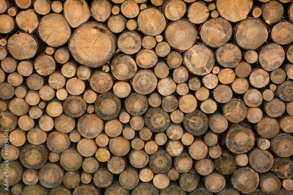 Wall of stacked wood logs