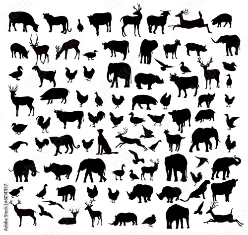 Animals & Birds Silhouette set - vector