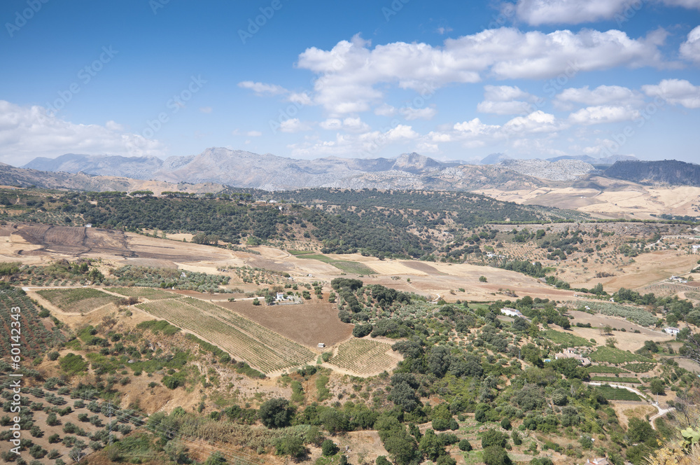 Views of Andalusian countryside from Ronda,  Malaga, Spain