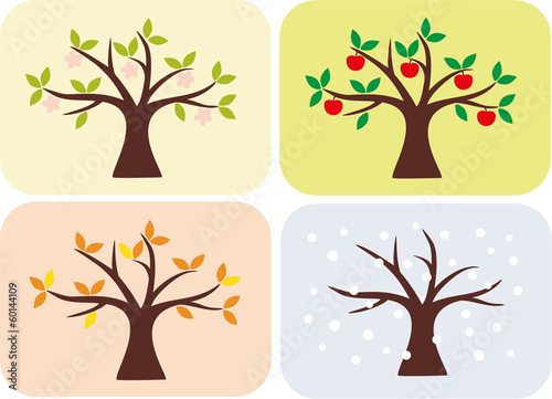 Apple Tree