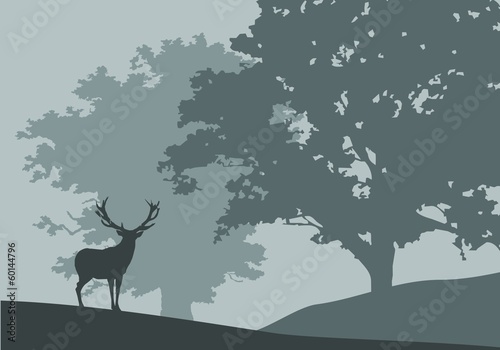 forest in fog - deer