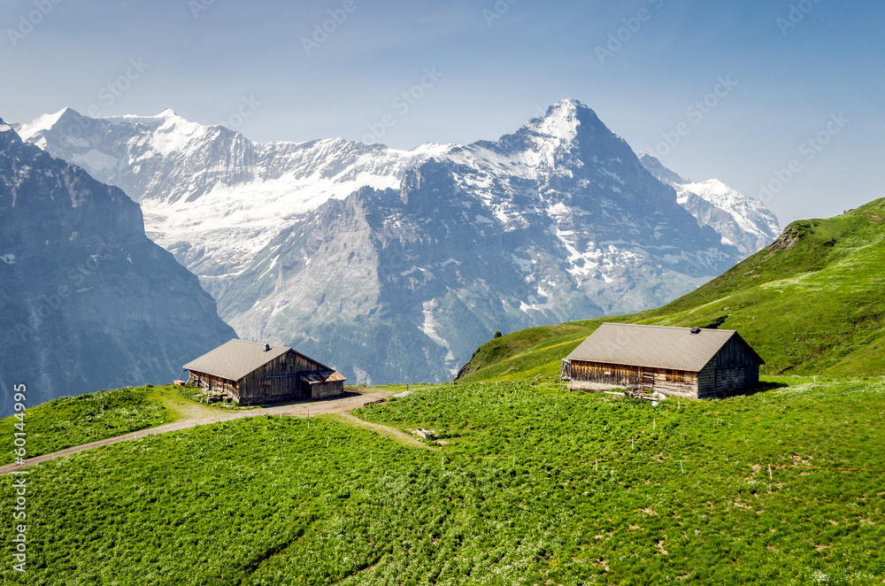 Houses in alps