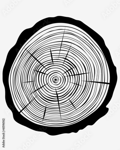 Vector illustration of growth tree trunk