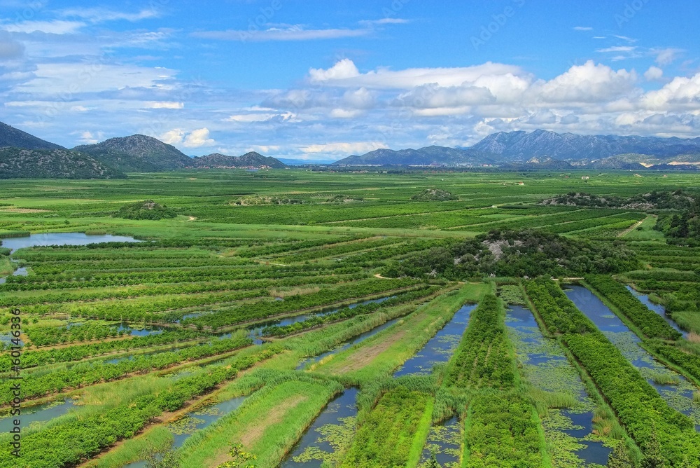 Obraz premium Neretva Delta 19