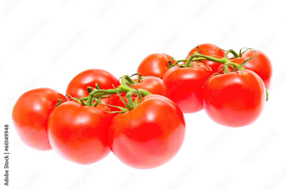 Branch of tomatoes isolated on white background Branch of tomatoes isolated on white background